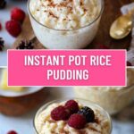 Instant Pot Rice Pudding