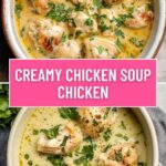 Creamy Chicken Soup Chicken