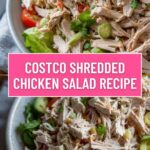 Costco Shredded Chicken Salad Recipe