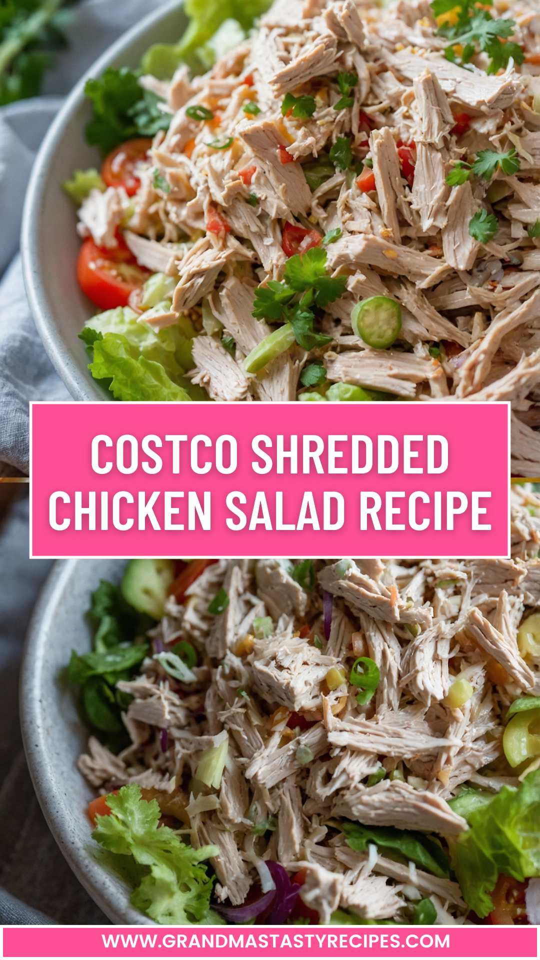 Costco Shredded Chicken Salad Recipe – Grandma’s Tasty Recipes