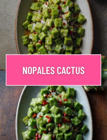 Nopales Cactus