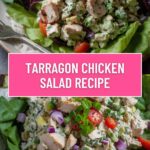 Tarragon Chicken Salad Recipe