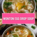 Wonton Egg Drop Soup