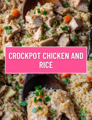 Crockpot Chicken and Rice