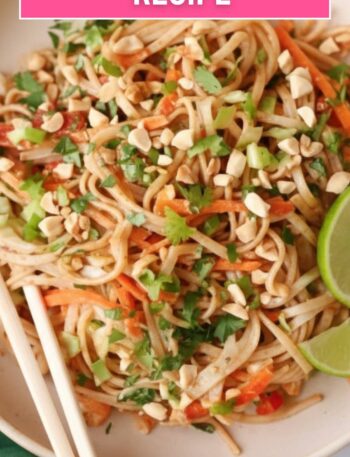 Asian Cold Noodle Recipe